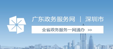 广东政务服务网